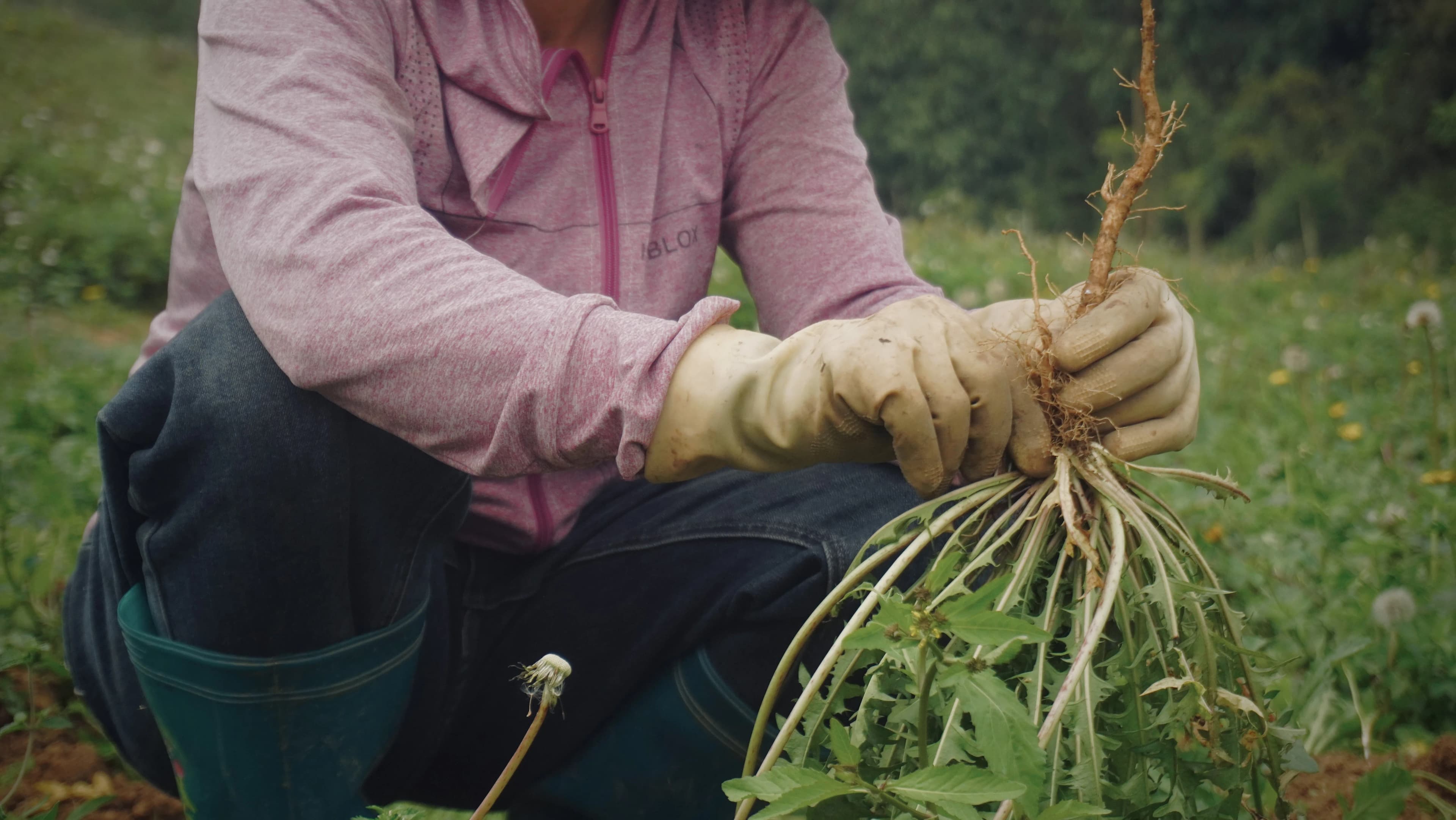 Câu chuyện con người Đắng Farm